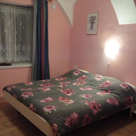 Country House U Potoka ξενώνας Božanov Εξωτερικό φωτογραφία